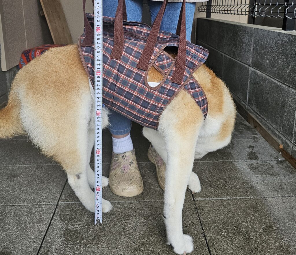 横画像