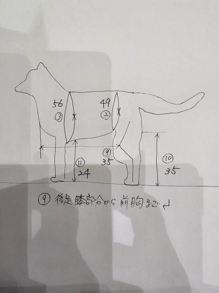 採寸表1