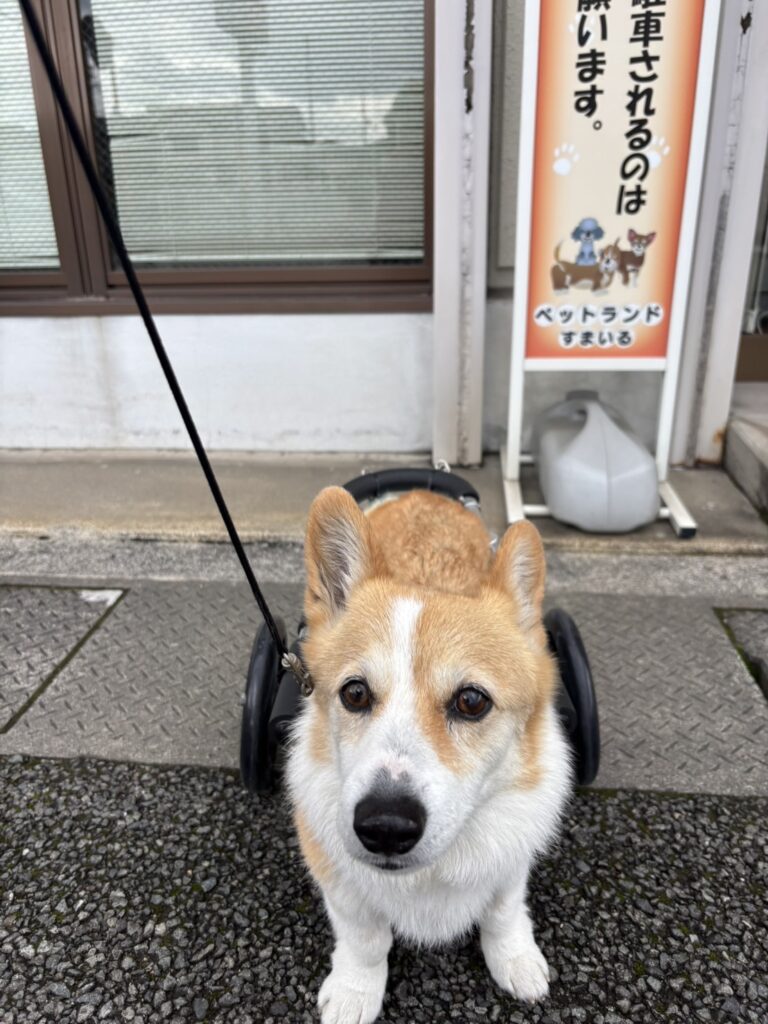 すずちゃん